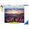 RAVENSBURGER 12000688