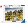 RAVENSBURGER 12000850