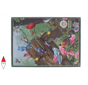 , , , PUZZLE ANIMALI COBBLE HILL UCCELLI BIRDS OF THE FOREST 1000 PZ